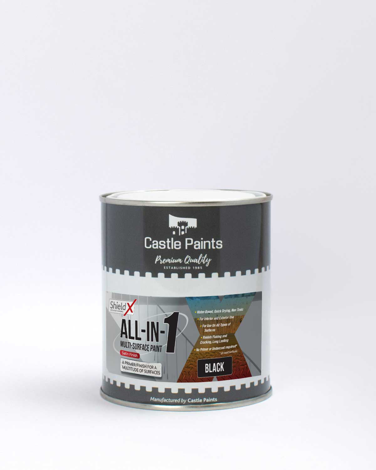 All-In-One Multisurface Paint