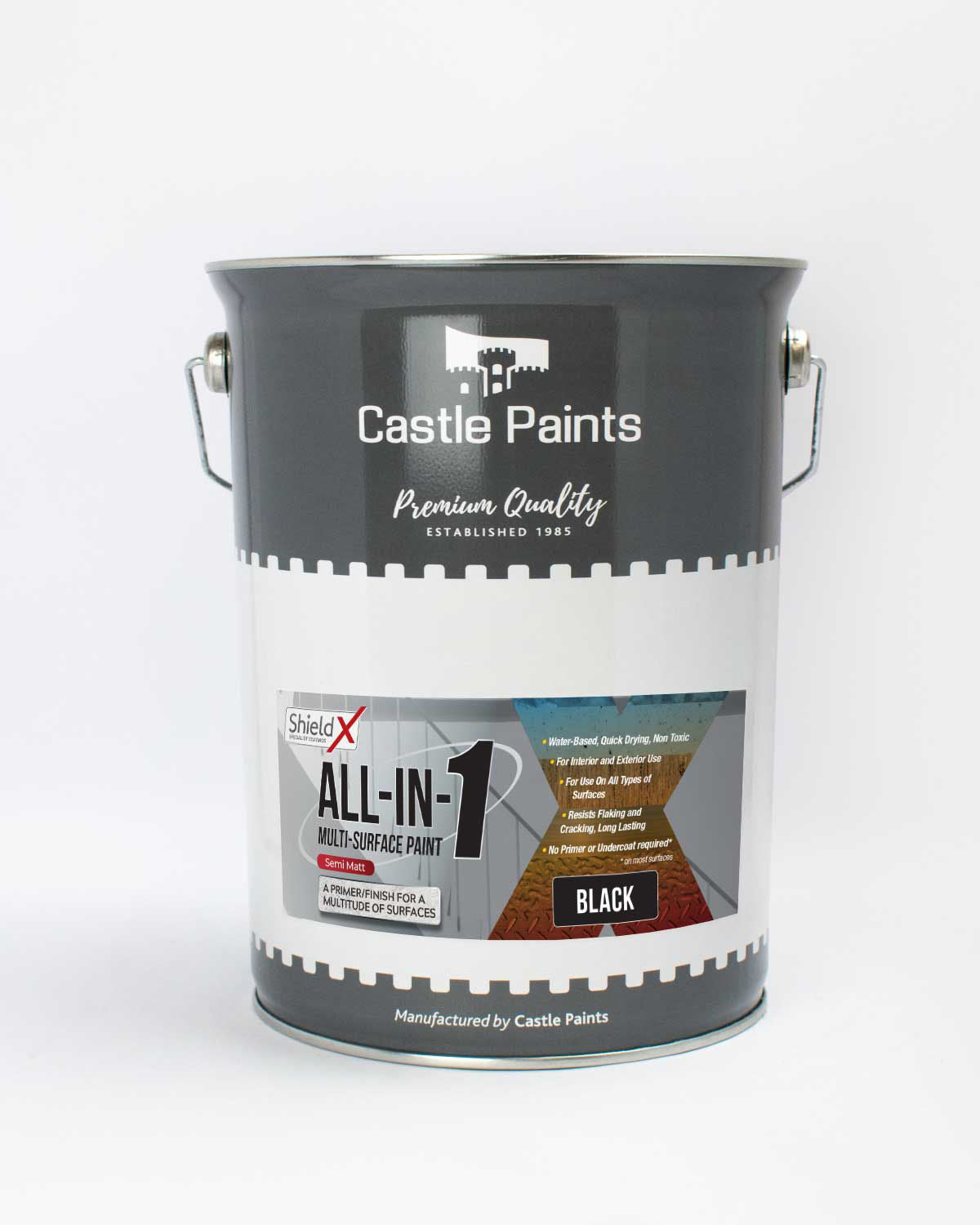 All-In-One Multisurface Paint