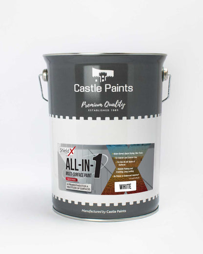 All-In-One Multisurface Paint