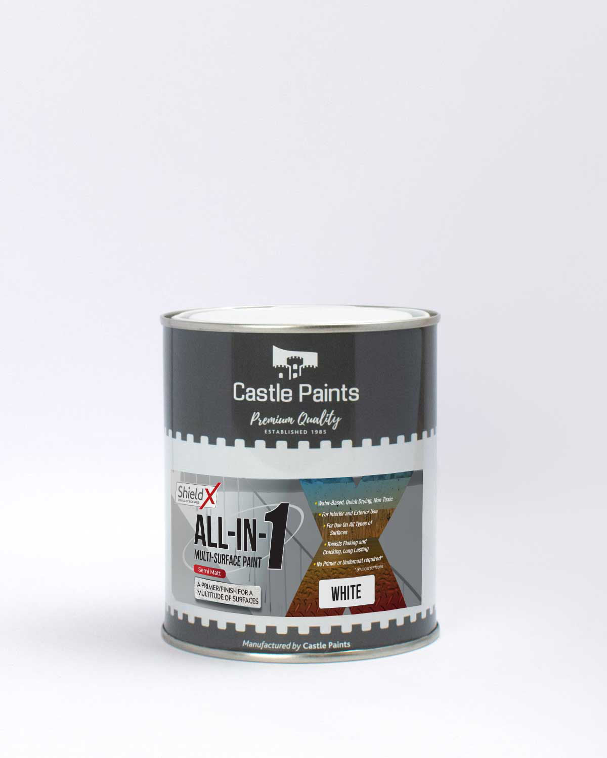 All-In-One Multisurface Paint